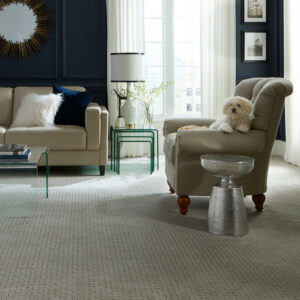 Puppy on couch | CarpetsPlus COLORTILE of Wyoming