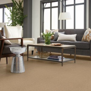 Living room Carpet flooring | CarpetsPlus COLORTILE of Wyoming