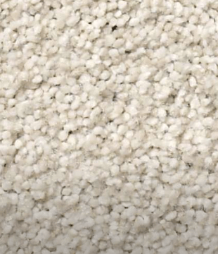 Carpet | CarpetsPlus COLORTILE of Wyoming